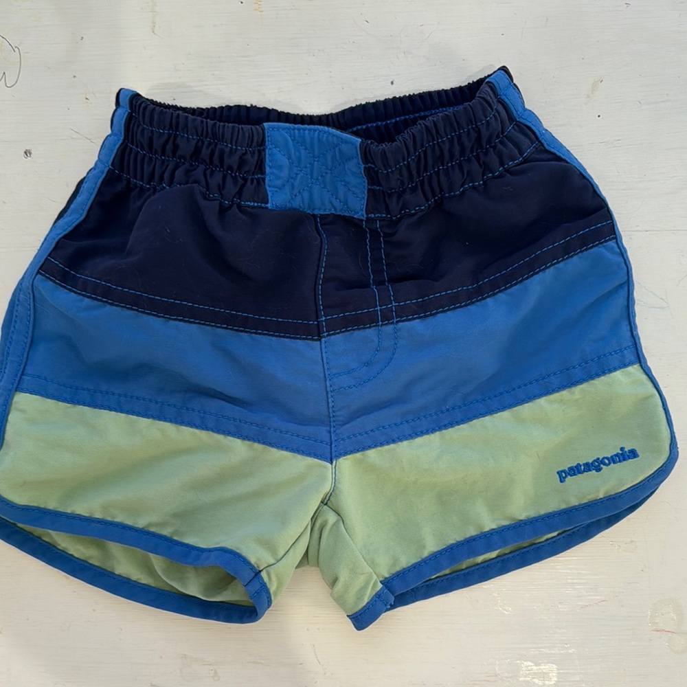 Patagonia Blue and Green Colorblock Shorts